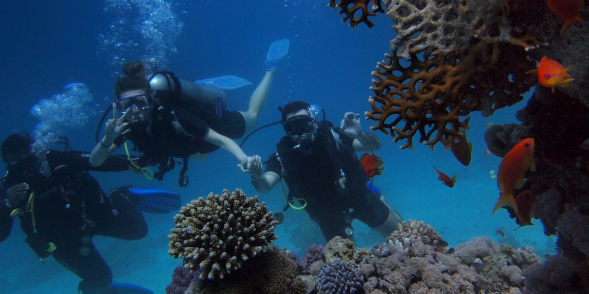Unsere Aktivitäten für Kinder von 4 bis 10 Jahren.