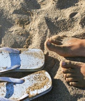 Tutte le attività per adolescenti da 10 a 14 anni.