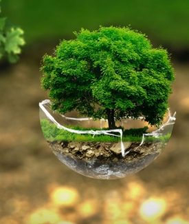 Préservons l’environnement