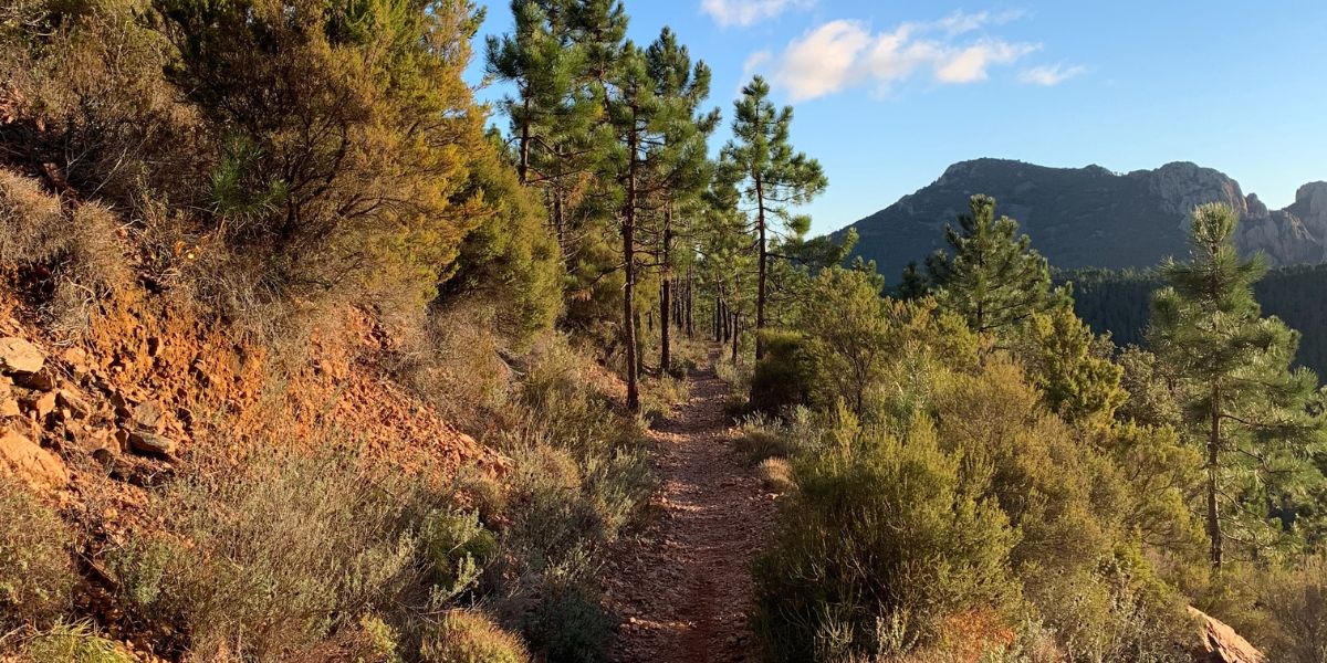 Le Lac de l&rsquo;Ecureuil