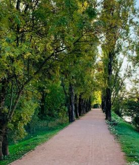 Les Berges de la Siagne