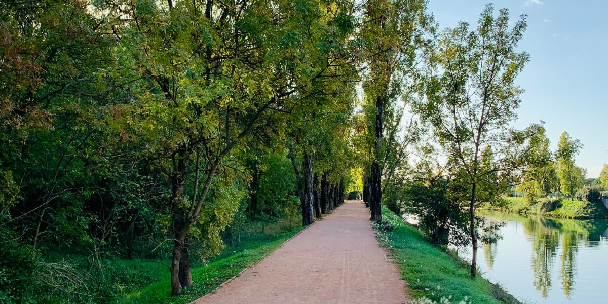 Les Berges de la Siagne