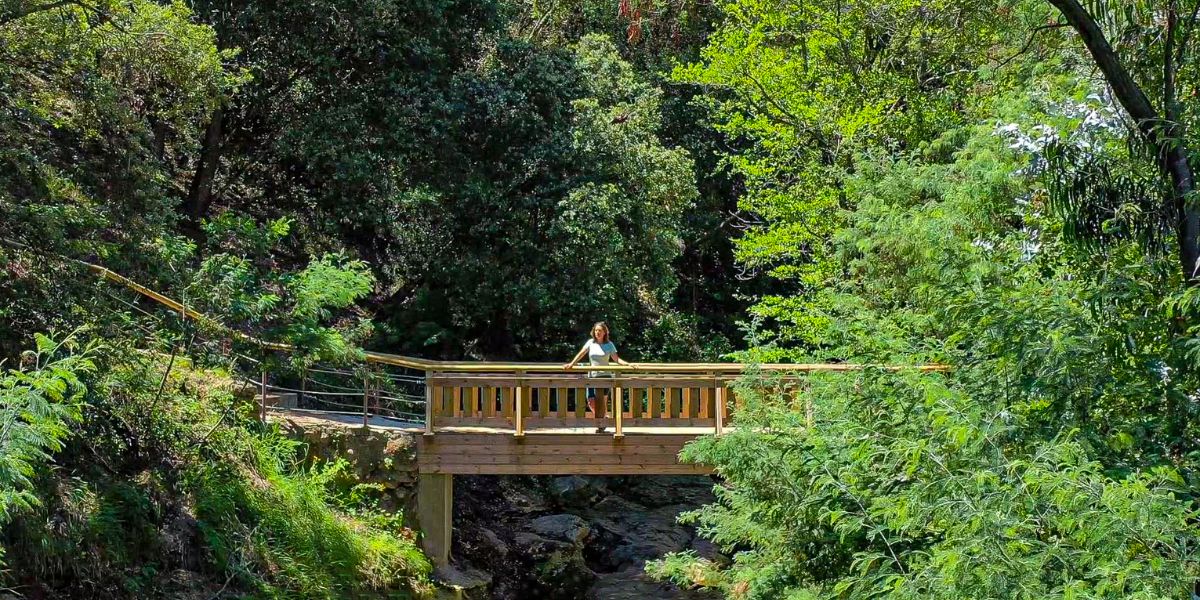 Le Parc de la Vernède