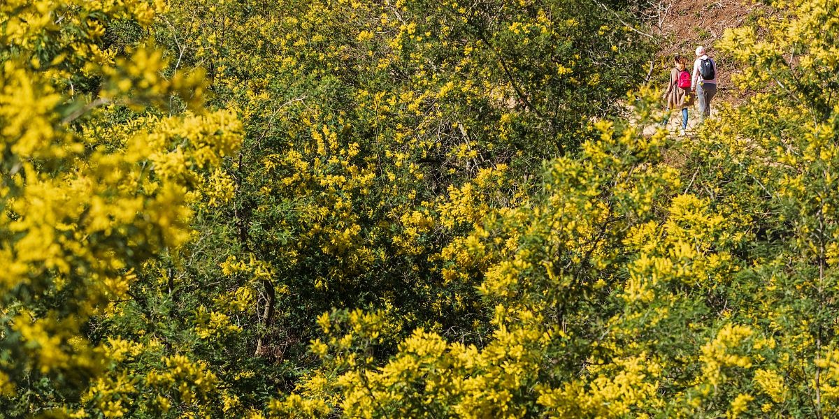 Le sentier découverte du Grand Duc