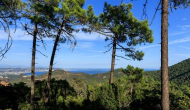 Mandelieu – les 15 plus belles Randonnées