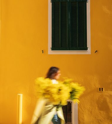 Mimosa-shooting 2022