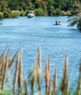 Les Berges de Siagne