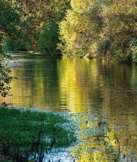 Destination Nature