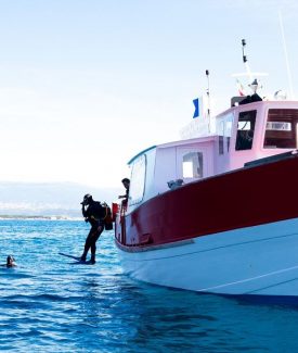 Plongée sous marine