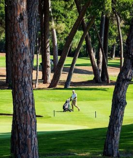 Mandelieu, Capitale des sports élégants