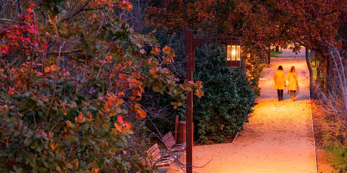 Automne à Mandelieu