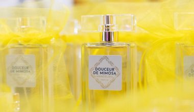 Noël à la boutique Mandelieu Tourisme