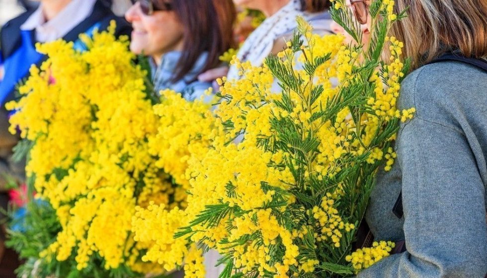 Préparez votre séjour pour le mois du Mimosa