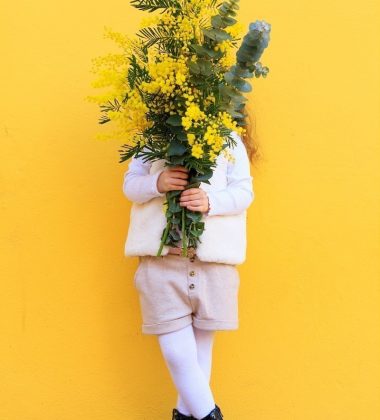 Quartier de La Napoule decore de Mimosa