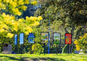 Visite commentée du parc Emmanuelle de Marande