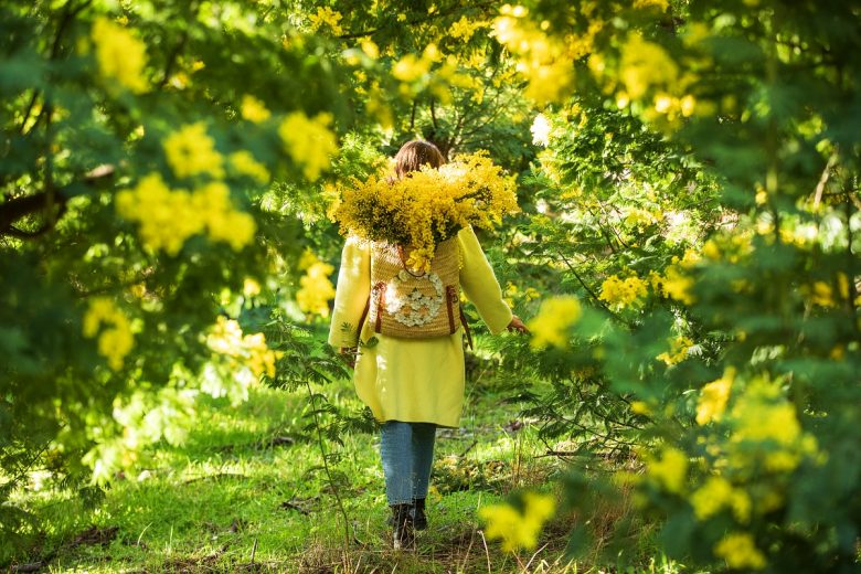 Randonnées pédestres : Au pays du mimosa_Mandelieu-La Napoule
