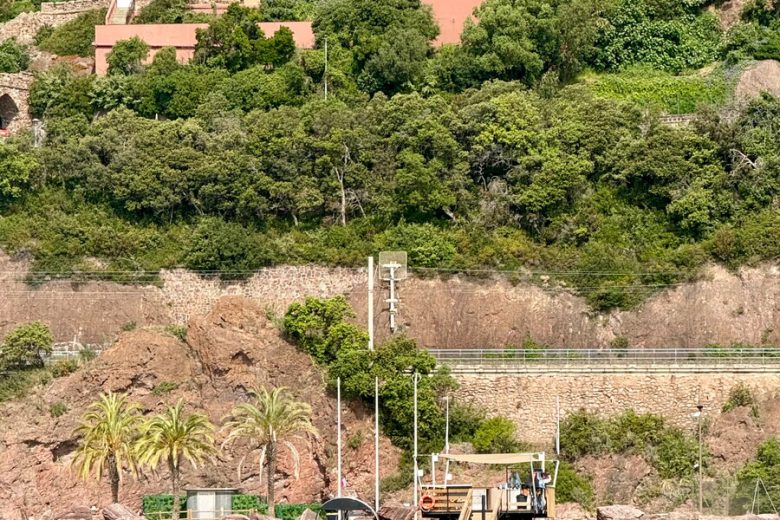 Ski-nautique – Mandelieu Watersports_Mandelieu-La Napoule