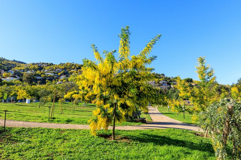 Parc Emmanuelle de Marande_Mandelieu-La Napoule