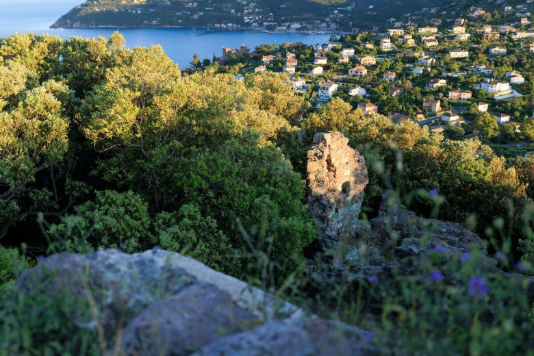 Balade commentée au mont San Peyre_Mandelieu-La Napoule