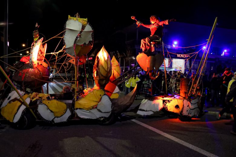 Village « Fête du Mimosa » et Parade Nocturne_Mandelieu-La Napoule
