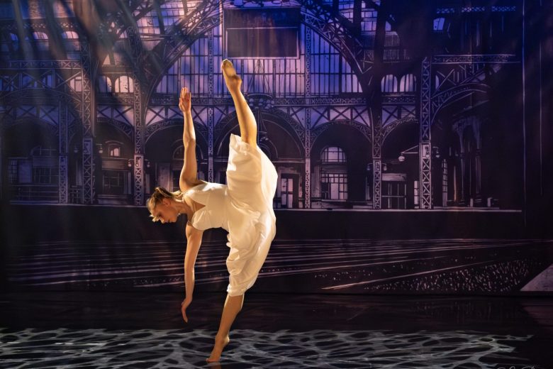 « Curiosité » – Nuits de Robinson 2026_Mandelieu-La Napoule