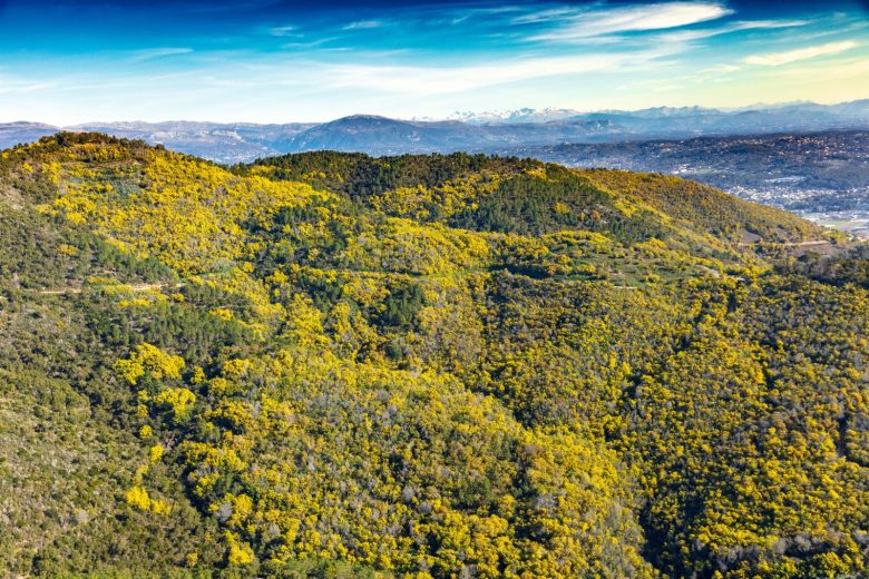 Vue aérienne – collines du Tanneron